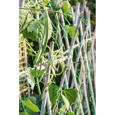 Pea & Bean Netting