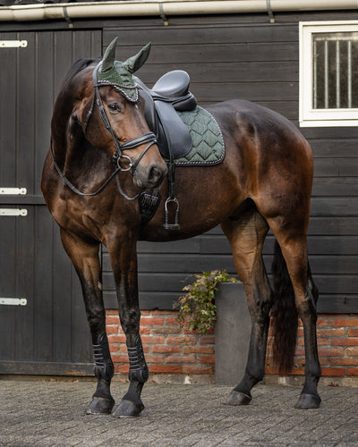 Saddle Pads, Numnahs & Gel Pads