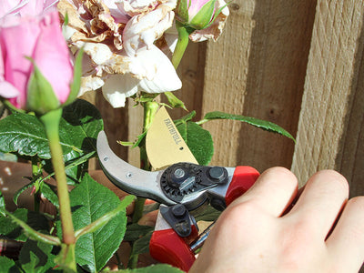 Secateurs