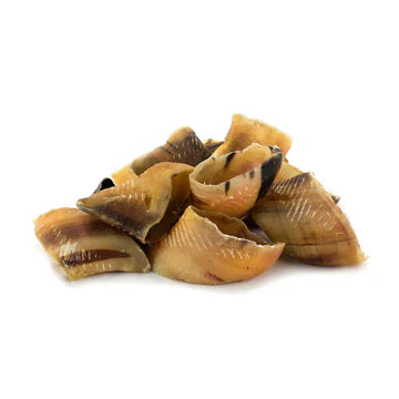 T Forrest cow hooves