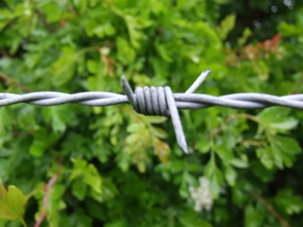 Barbed Wire Reel