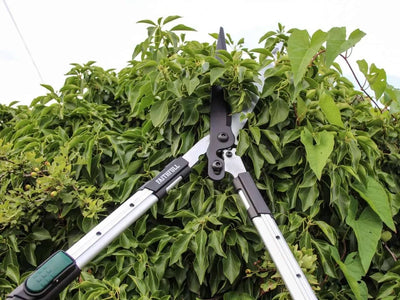Telescopic Hedge Shears