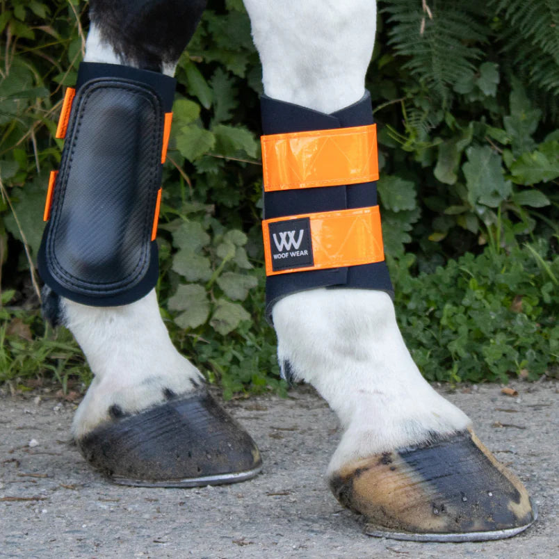 Horse Boots