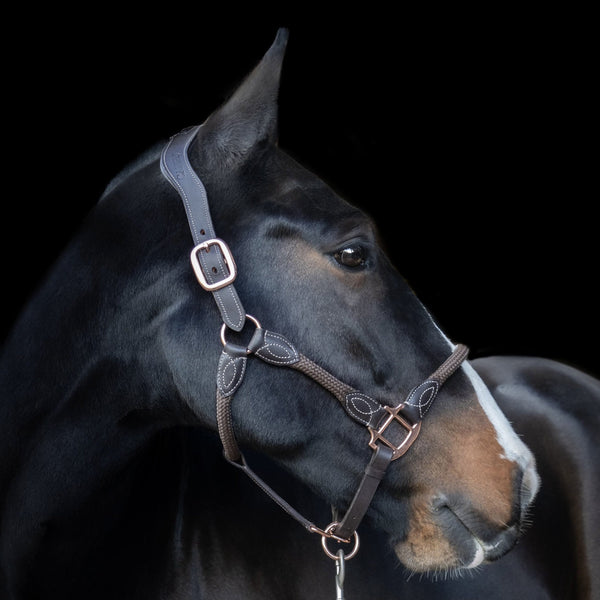 Headcollars and Lead Ropes