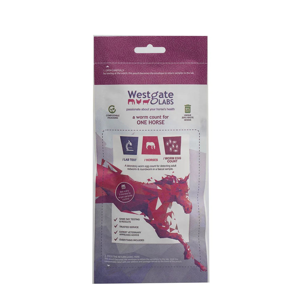 Equine Wellbeing