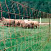 Rutland electric Fencing  Sheep Netting (50m)