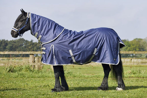 Horse Rugs