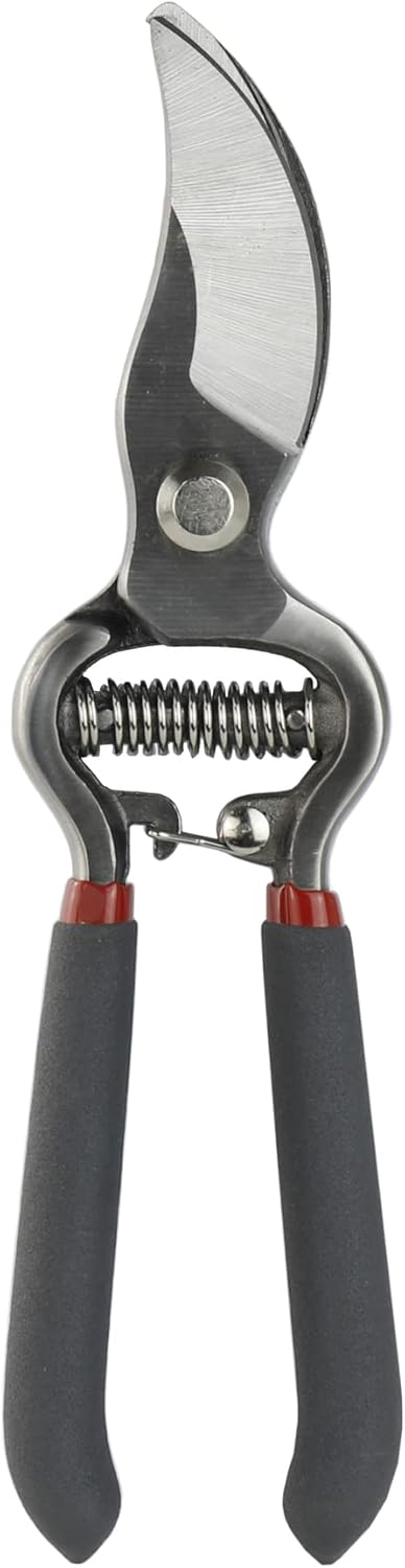 Secateurs