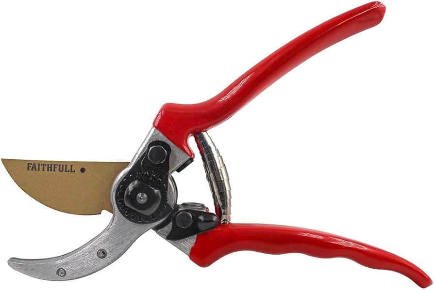 Secateurs