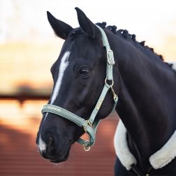 Headcollars and Lead Ropes