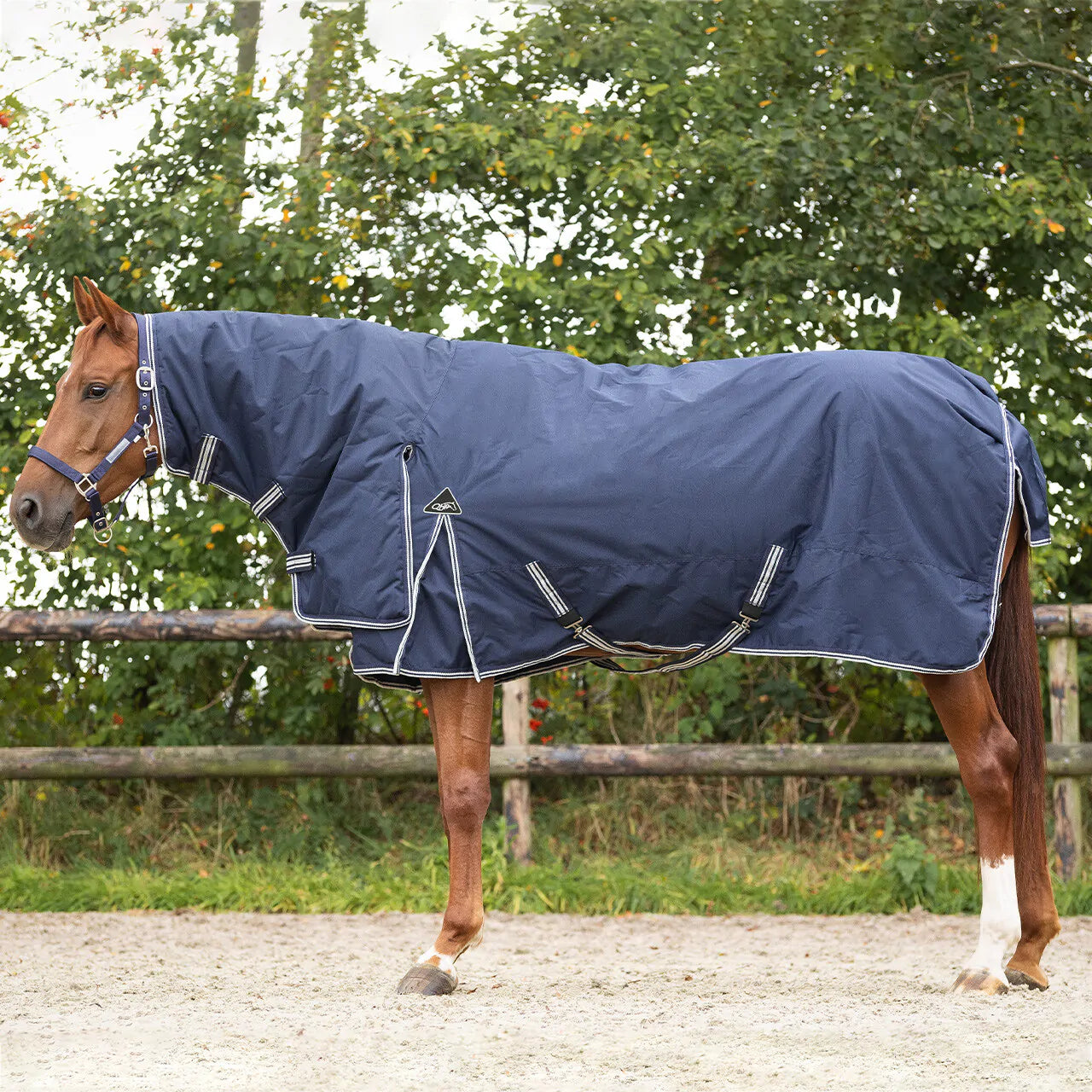 Horse Rugs