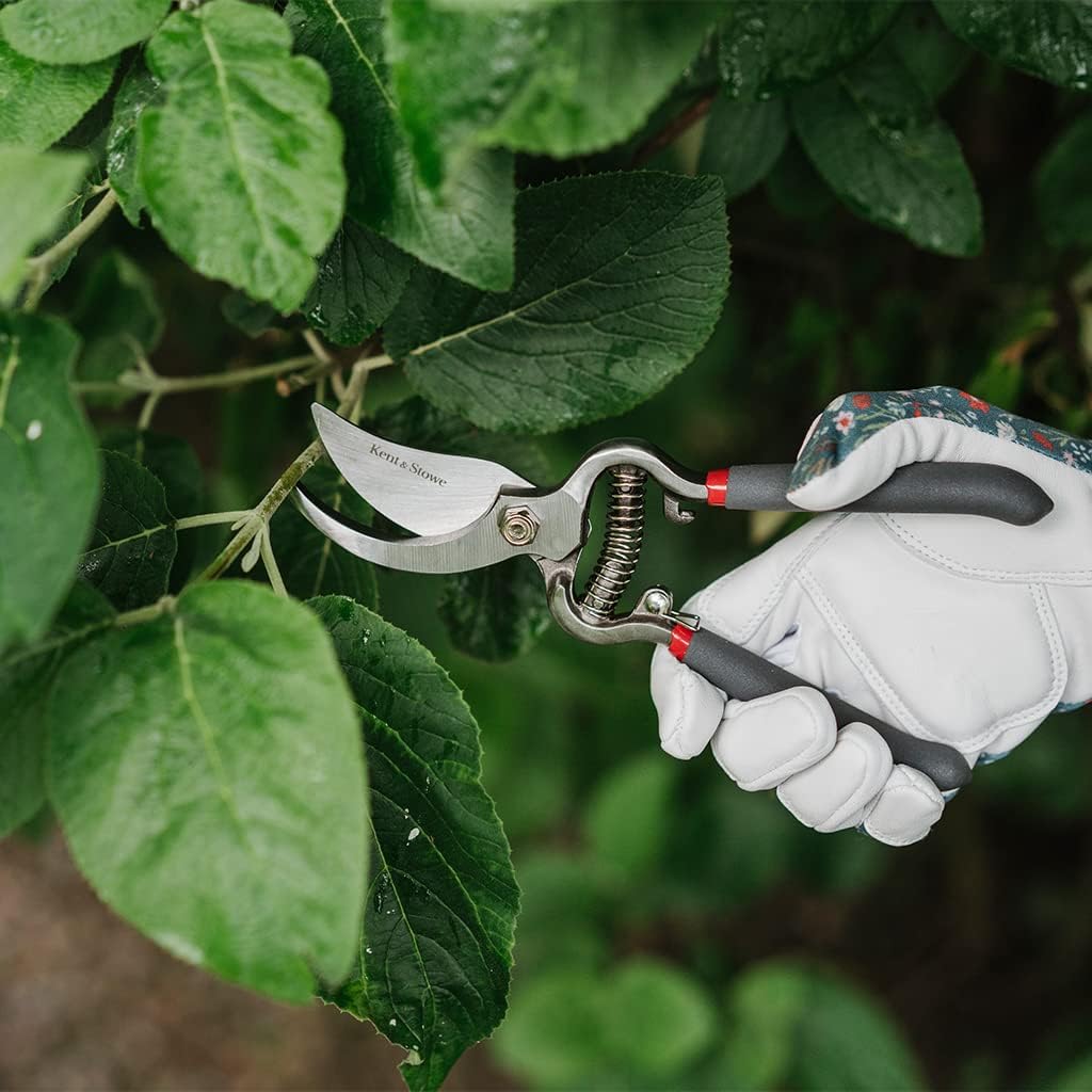 Secateurs