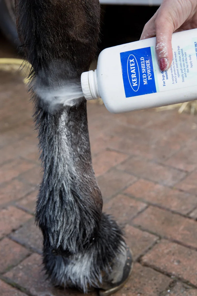 Equine Wellbeing