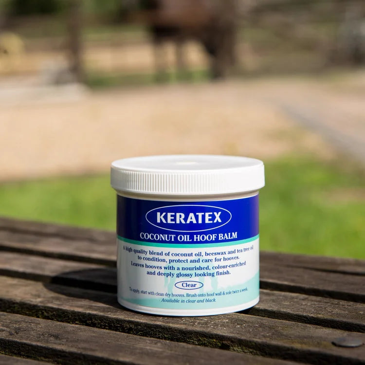 Equine Wellbeing