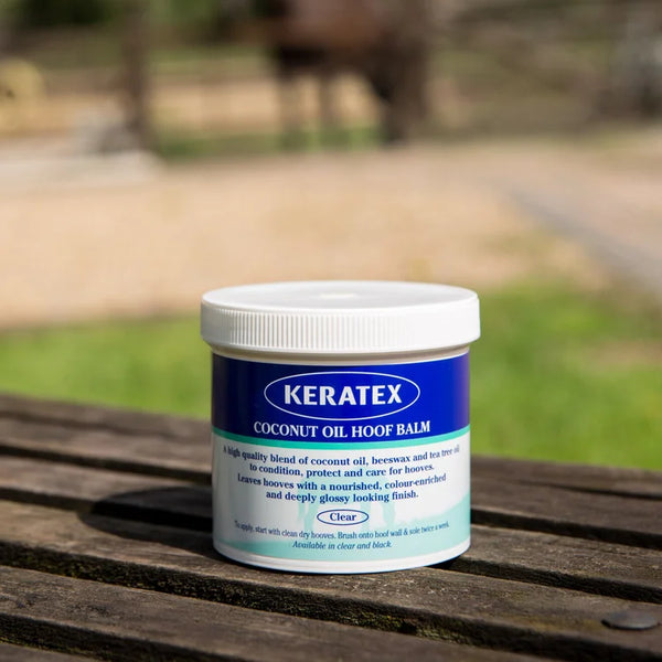 Equine Wellbeing