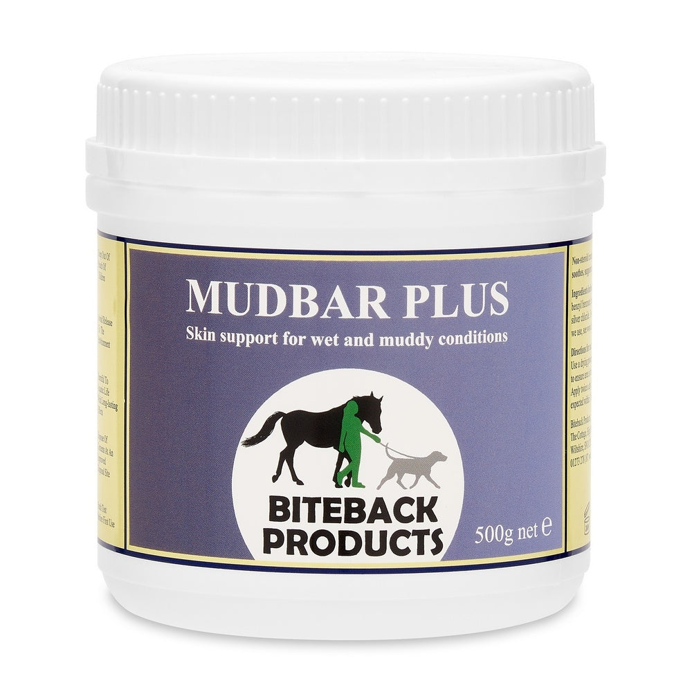 Equine Wellbeing