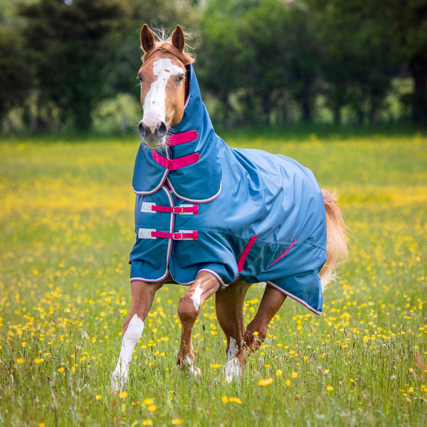 Horse Rugs