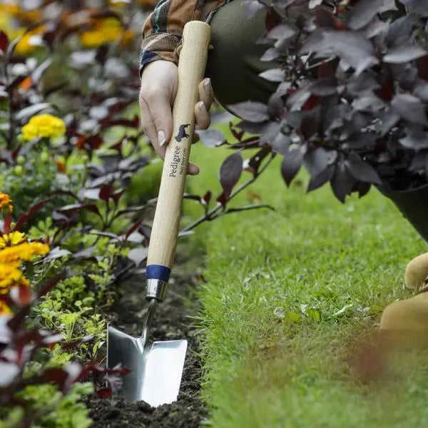 Garden Trowels and Forks