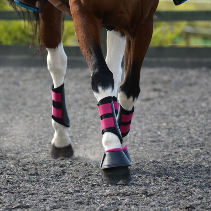 Horse Boots