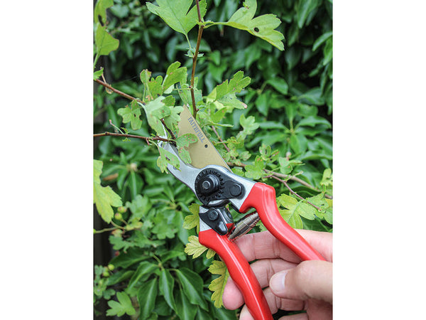 Secateurs