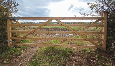 Charlton Forester 5 Bar gate.