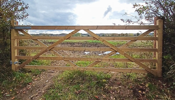 Charlton Forester 5 Bar gate.