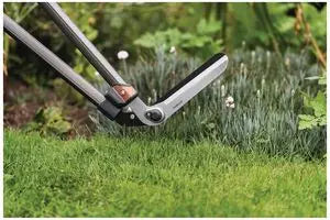 Lawn Shears