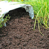 Top Soil