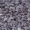 Decorative Slate to order