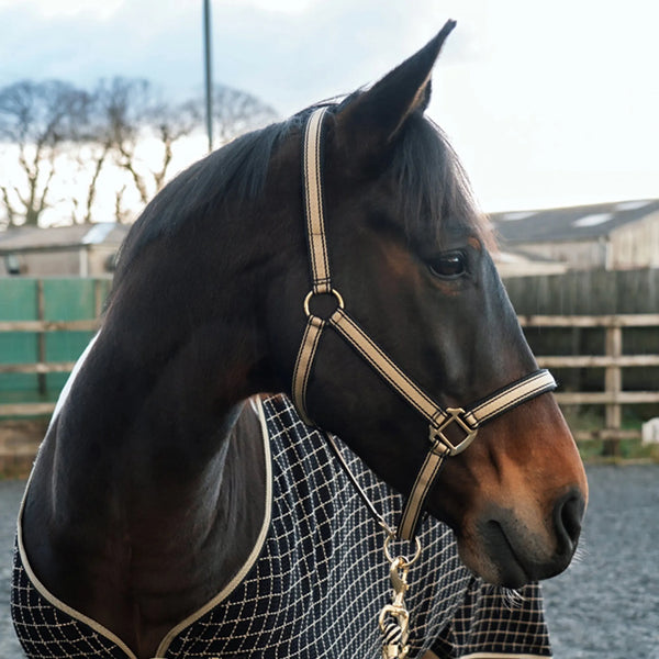 Headcollars and Lead Ropes