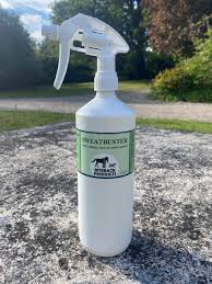 Equine Wellbeing