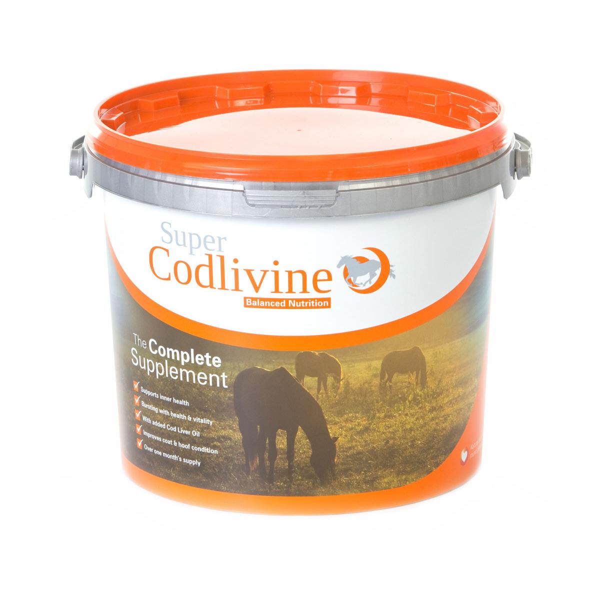 Equine Wellbeing