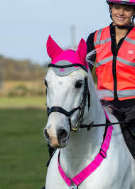 Fly Hoods & Repellents