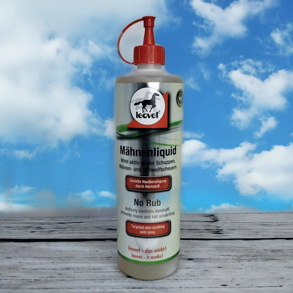 Equine Wellbeing