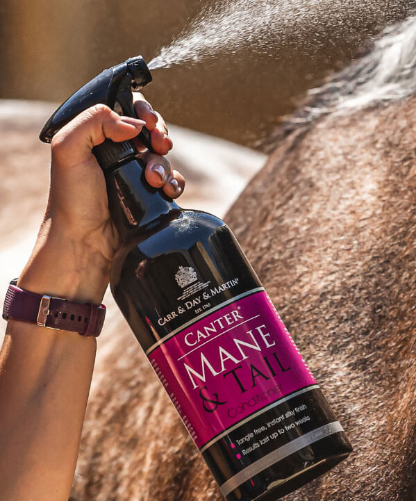 Equine Wellbeing