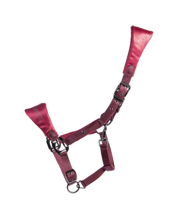 Headcollars and Lead Ropes