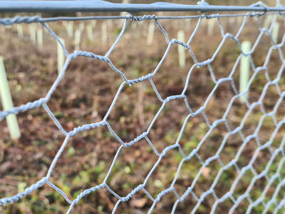 Galvanised Rabbit Netting