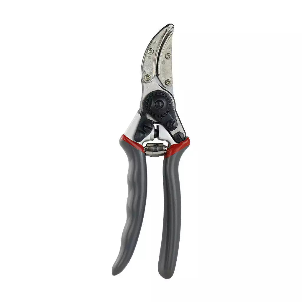Secateurs
