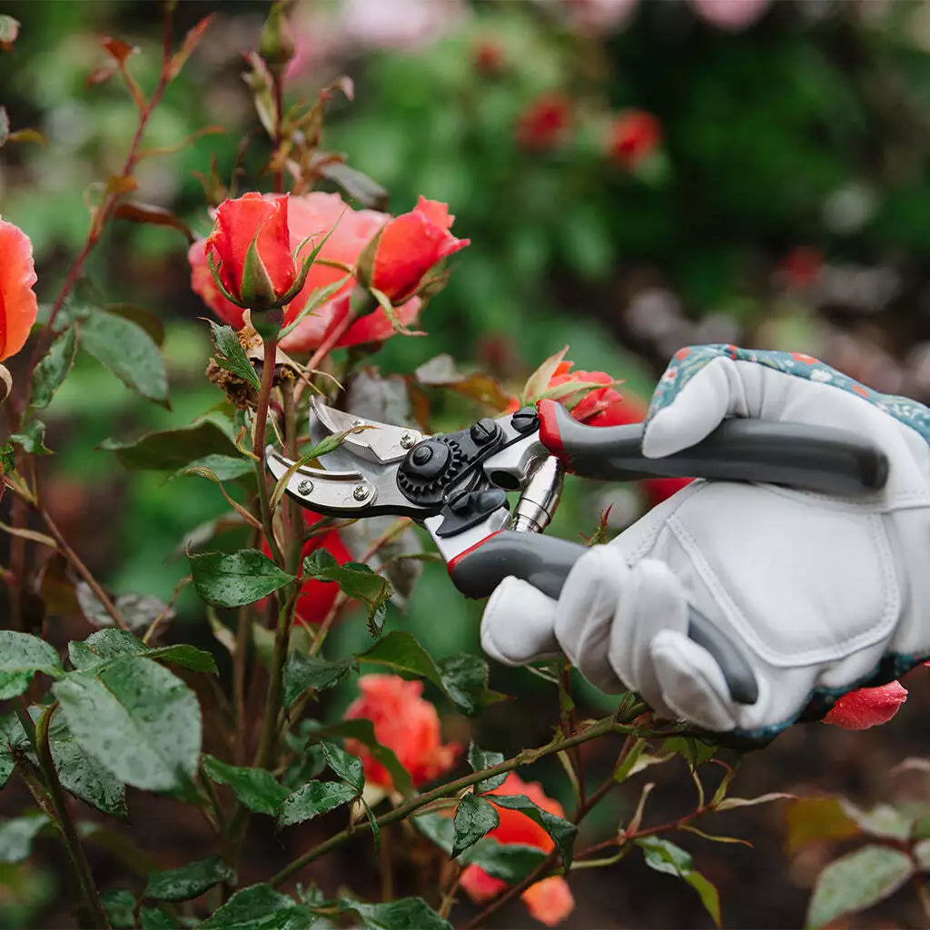 Secateurs