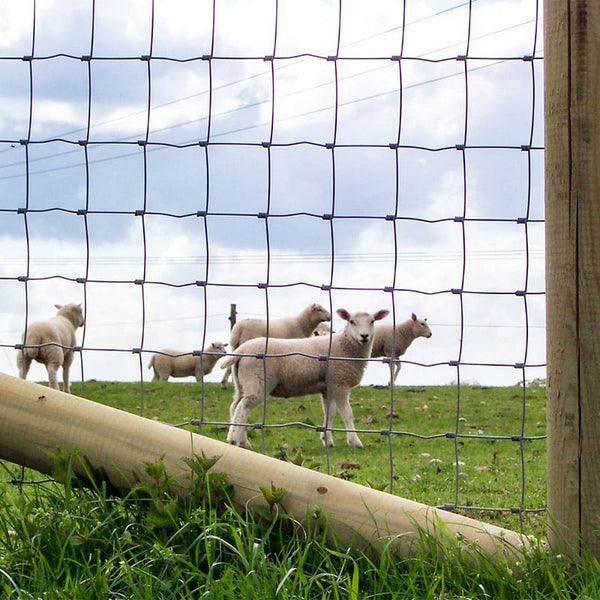 Sheep Netting