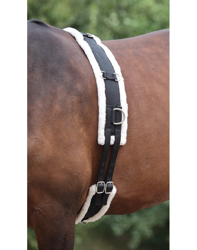 Lunge Lines and Accessories