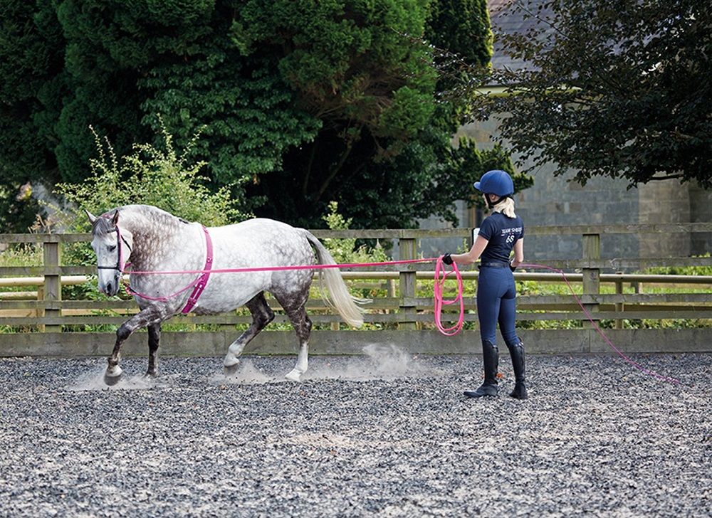 Lunge Lines and Accessories