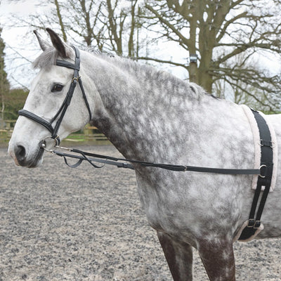 Lunge Lines and Accessories