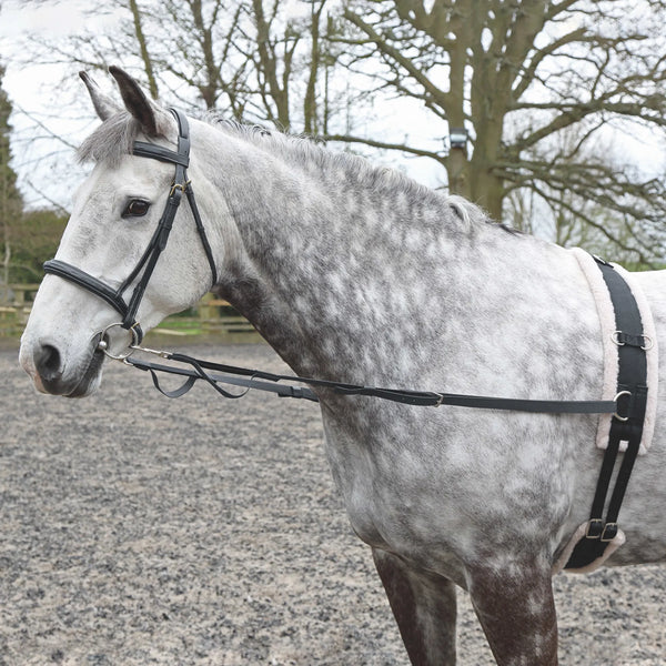 Lunge Lines and Accessories
