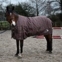 Horse Rugs