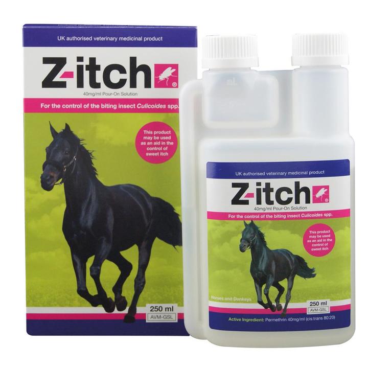 Equine Wellbeing