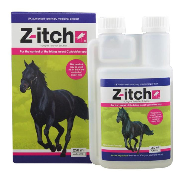 Equine Wellbeing